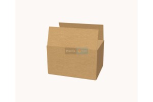 Kartona kaste 390x290x235mm