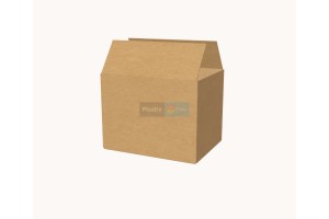 Kartona kaste 390x290x300 mm