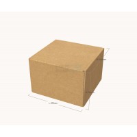 Kartona kaste 105x100x70 mm