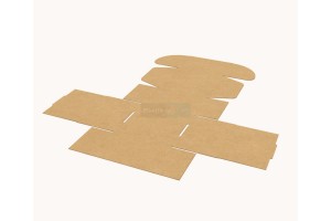 Kartona kaste 105x100x70 mm