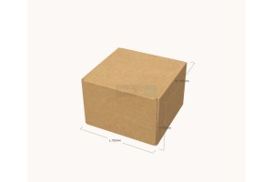 Kartona kaste 105x100x70 mm