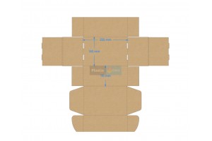 Kartona kaste 255x165x115 mm