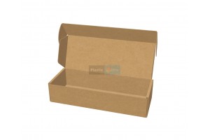 Kartona kaste 310x115x65 mm